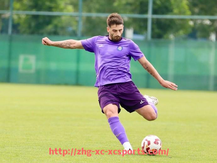 杏彩体育-英超球队要求：英超球队的要求与球员选择标准