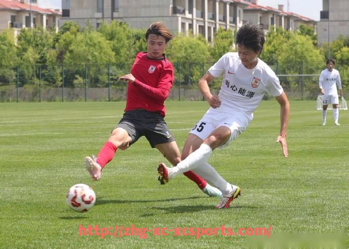 杏彩体育-世俱杯幕后花絮视频曝光：赛事背后的故事